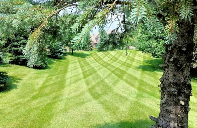 Lawn Care & Service for Iowa Yards